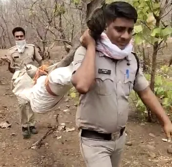 हतलाय के जंगल में पेड़ से लटका मिला अज्ञात पुरुष का शव, पुलिस जुटी जांच में