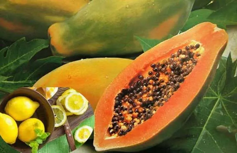 Mango, Lemon And Papaya बढ़ाते हैं खून में ऑक्सीजन 