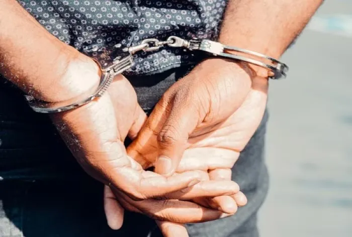 घरेलू सहायिका के यौन उत्पीड़न पर भारतीय मूल के व्यक्ति को हुई जेल