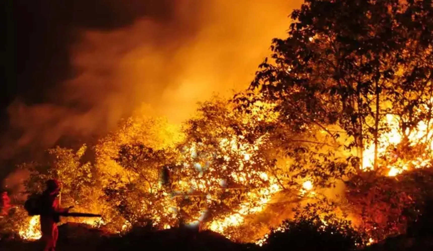 Hawaii में जंगल की आग से मरने वालों की संख्या 110 हुई