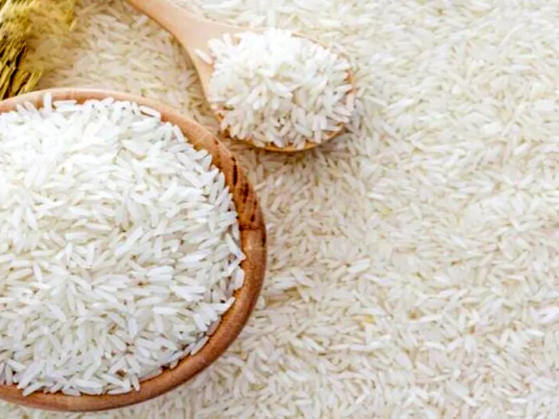 बासमती चावल के ‎‎निर्यात पर भी लगाया प्र‎तिबंध