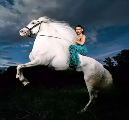Bella Hadid  ने घुड़ सवारी करते तस्वीरें शेयर की