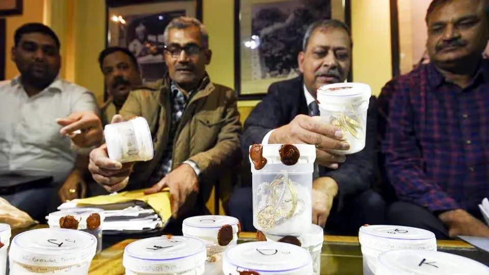 अमेरिका में भारतीय, Asian jewelers से लूटपाट करने वाले 16 लोगों का गिरोह गिरफ्तार