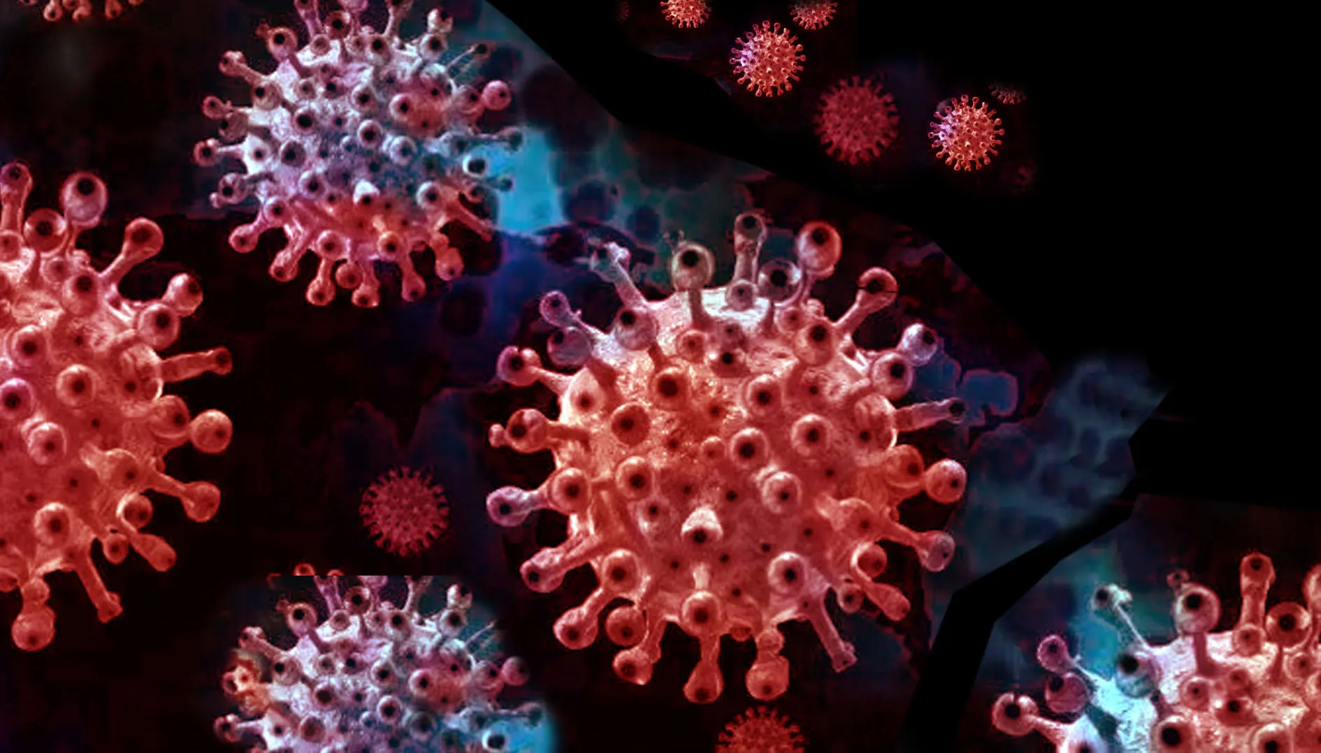 New disease X ने दी दस्तक, डब्ल्यूएचओ ने जारी ‎किया अलर्ट