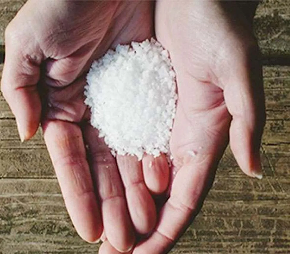 Salt का कितना करें इस्तेमाल