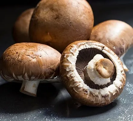 Mushroom खाने से दूर हो जाती हैं ये बीमारीया