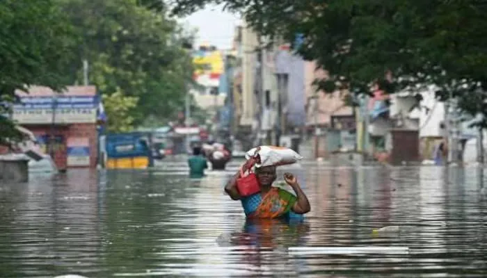 चक्रवाती तूफान मिचौंग ने मचाई तबाही, न दूध-पानी ‎मिल रहा न बिजली बहाल