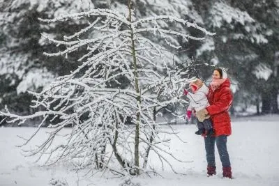 सेंट पीटर्सबर्ग का Temperature 74 साल के निचले स्तर पर