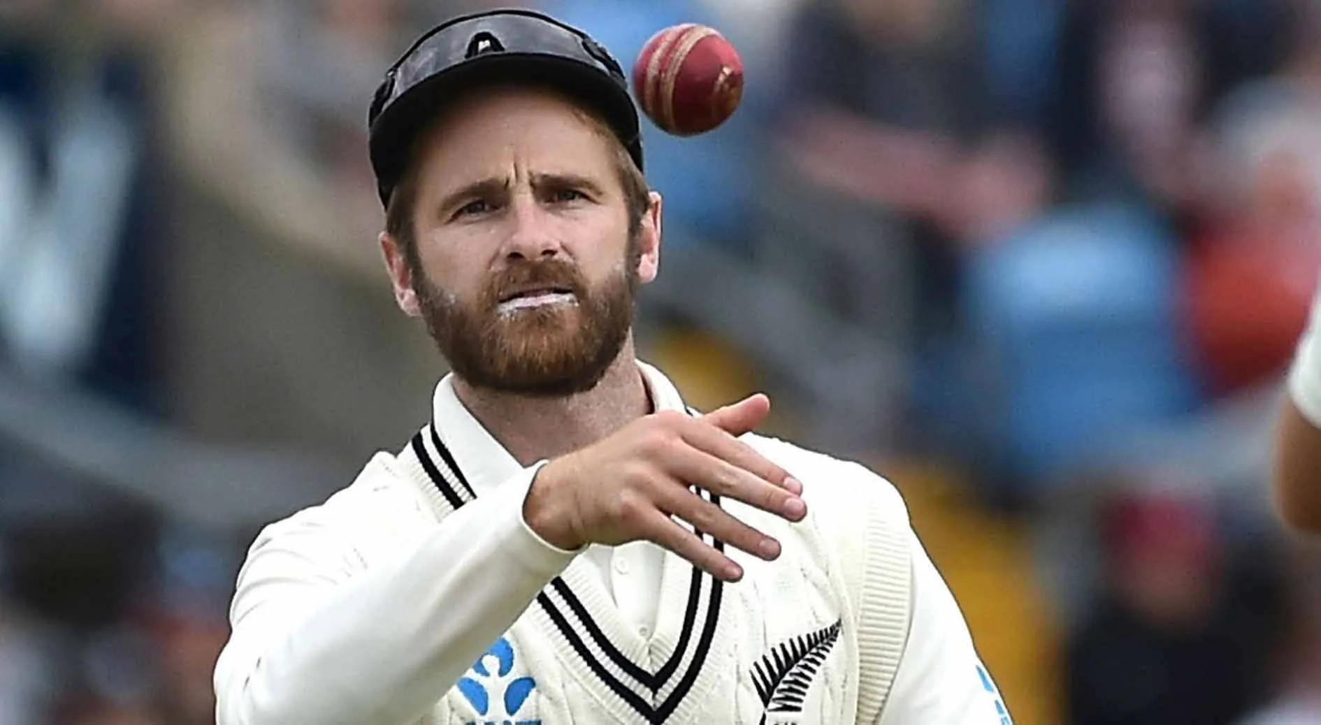 Williamson ने वेगनर के संन्यास को लेकर टेलर के आरोप को खारिज किया