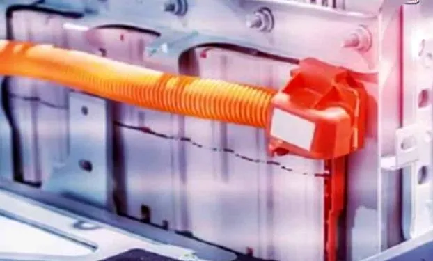 बैटरी सेल के मामले में टाटा की बराबरी कर लेगी Maruti Suzuki