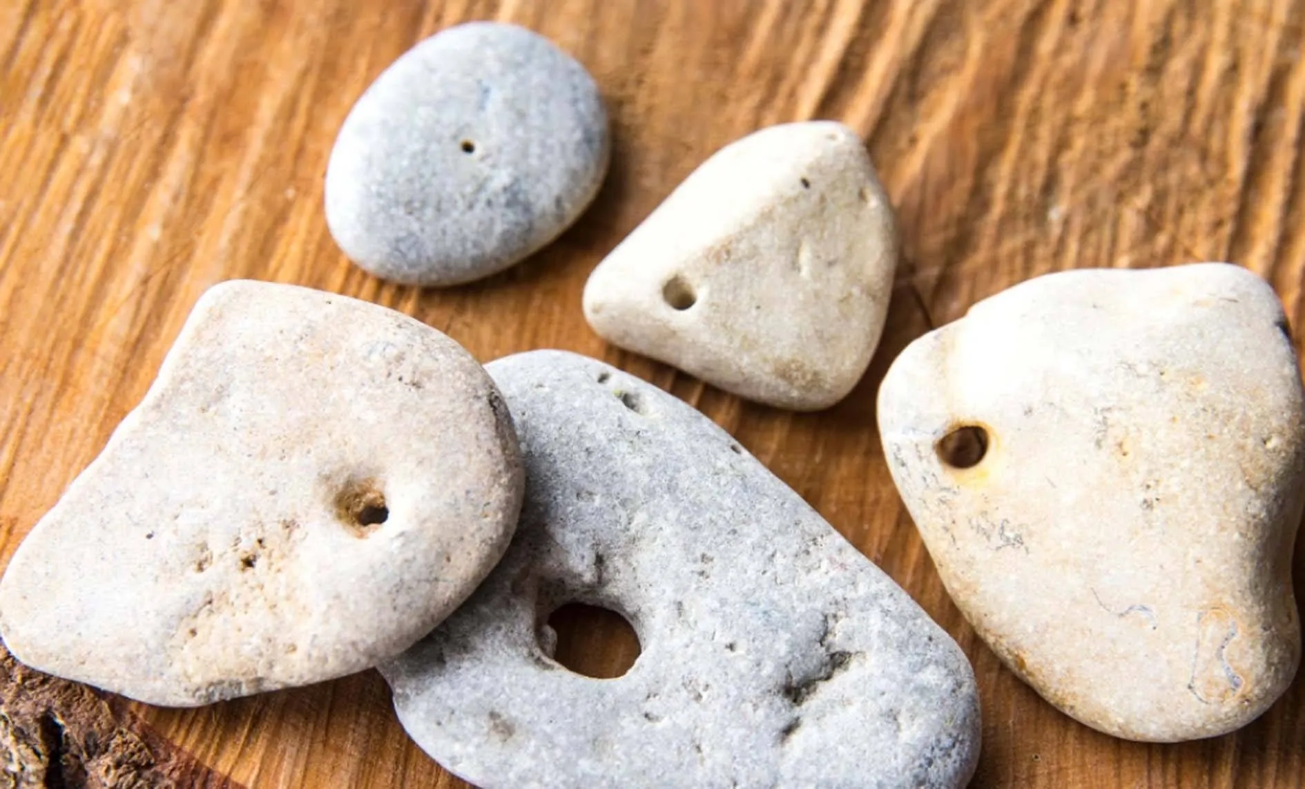 अकेलापन दूर करने लोग Dogs And Cats की जगह पाल रहे पत्थर