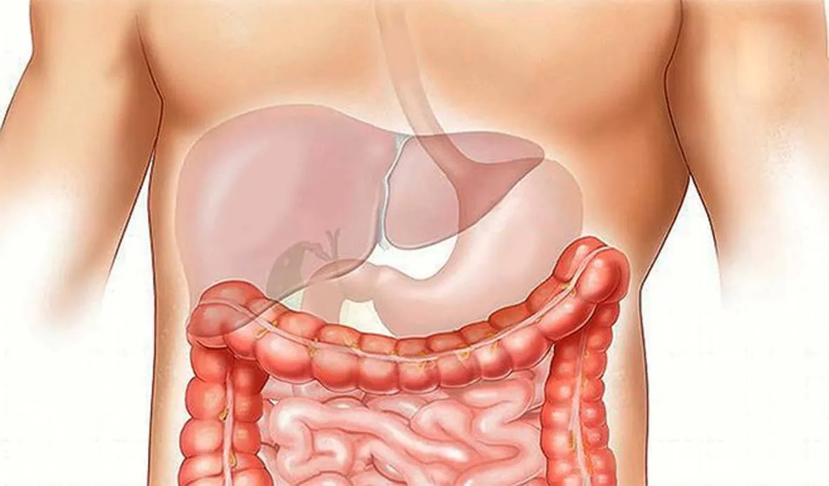 Lifestyle से जुडी गलत आदतों से लीवर को होता है नुकसान