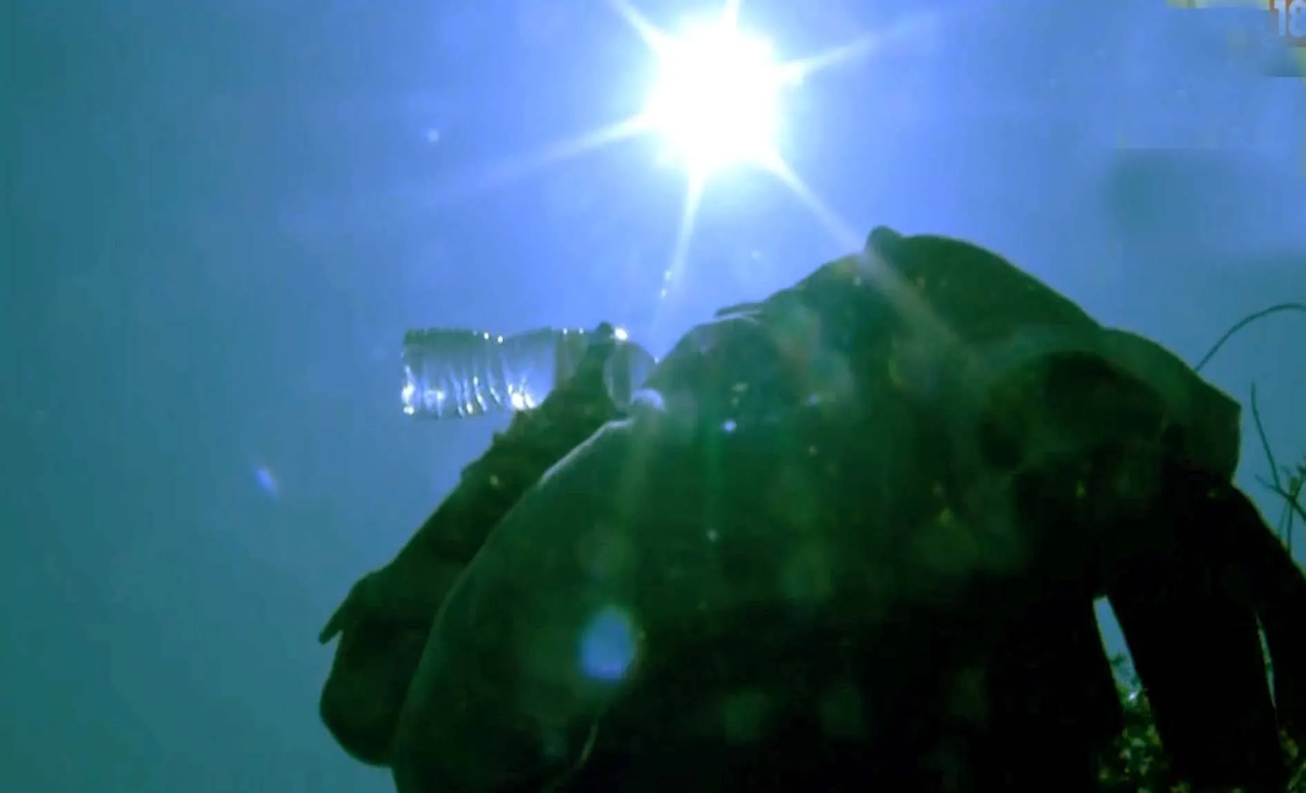 गर्मी में पसीना आना नॉर्मल बात, यह स्वास्थ्य के लिए जरुरी