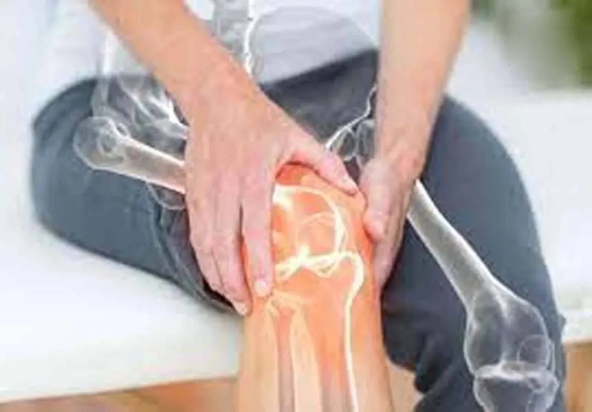 ऑस्टियोपोरोसिस  से बचाता है सीबीएफ-बीटा Protein