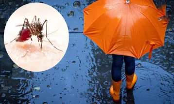 बारिश में Dengue बुखार से करें बचाव