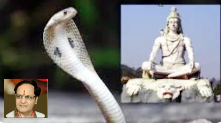 अमृत, सिद्धि साध्य योग और हस्त नक्षत्र के संयोग में Nag Panchami
