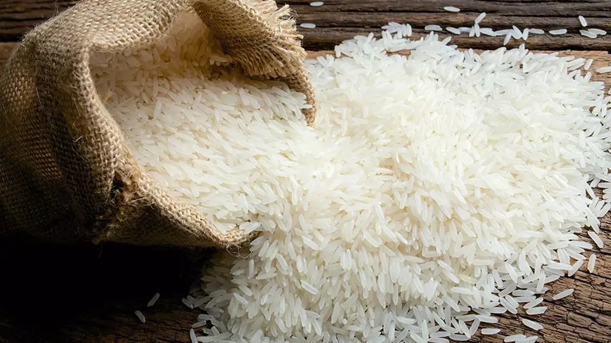 Rice निर्यात में छूट से सभी को होगा फायदा!