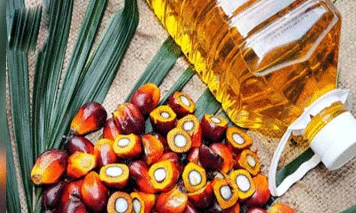 Palm oil का आयात 33 फीसदी घटा