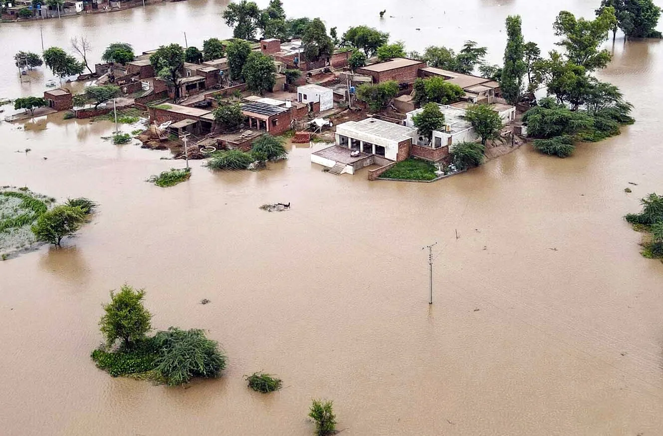 Punjab में बाढ़ से 1600 से ज्यादा गांव प्रभावित, कई लाख हेक्टेयर की फसलें बर्बाद
