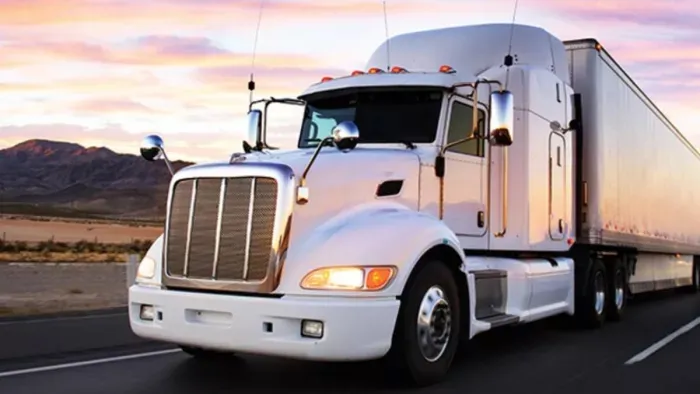 America में भारतीय ट्रक चालकों की हरकतें भारत की छवि को कर रहीं धूमिल