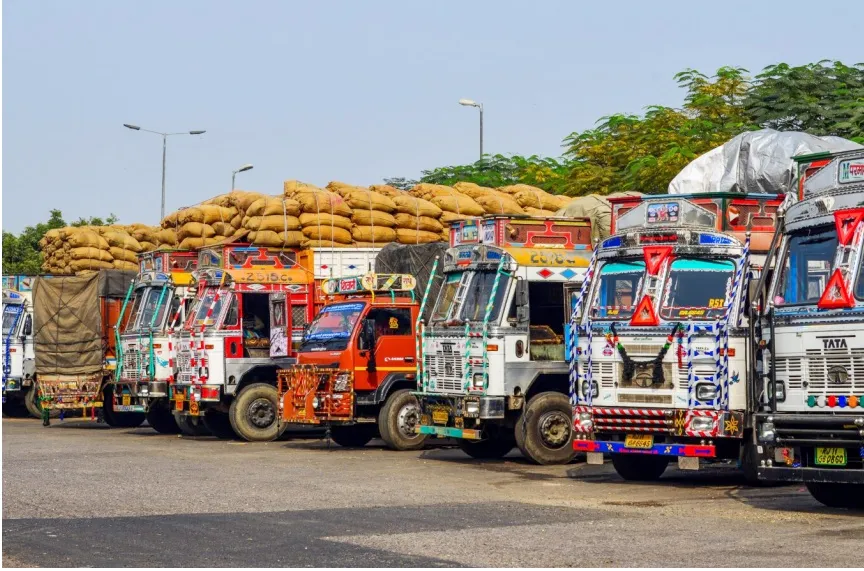 New Zealand में 459 भारतीय मूल के ड्राइवरों के लाइसेंस रद्द, कई परिवारों पर संकट