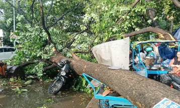 Patna में तेज आंधी बारिश से 9 की मौत, सैकड़ों पेड़ गिरे, 20 जिलों में अलर्ट जारी