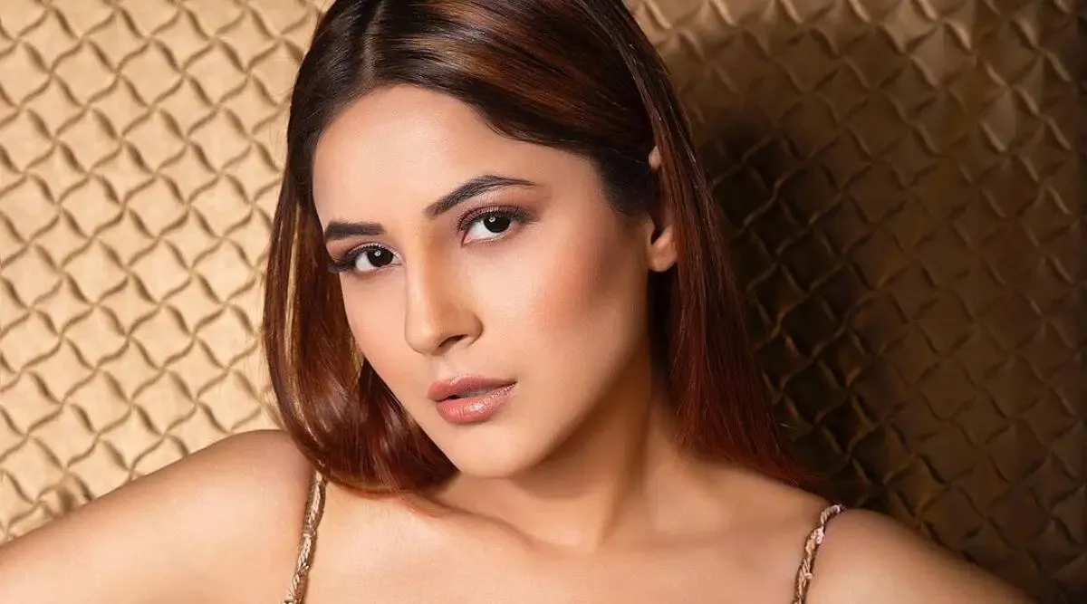 रिश्तों में दूरी आती है, तो प्यार की कीमत बढ़ जाती है : Shehnaaz Gill
