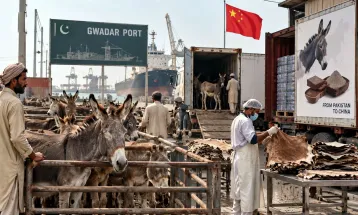 आर्थिक तंगी और बदहाली से जूझ रहा Pakistan अब करेगा गधों का कारोबार